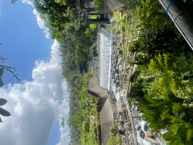 View from the hike and bamboo bridge